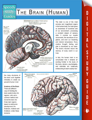 The Brain (Human) (Speedy Study Guides)
