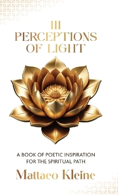 111 Perceptions of Light - Mattaeo Kleine