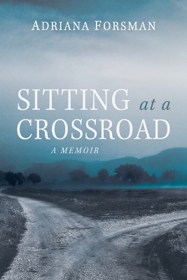 Sitting at a Crossroad - Adriana Forsman