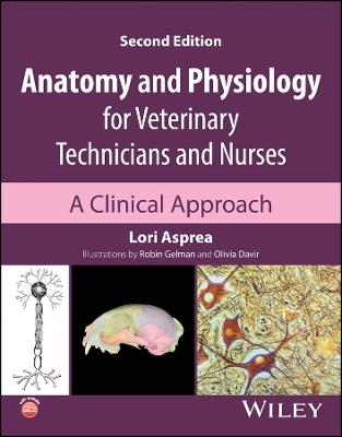 Anatomy and Physiology for Veterinary Technicians and Nurses