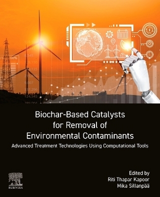 Biochar-Based Catalysts for Removal of Environmental Contaminants