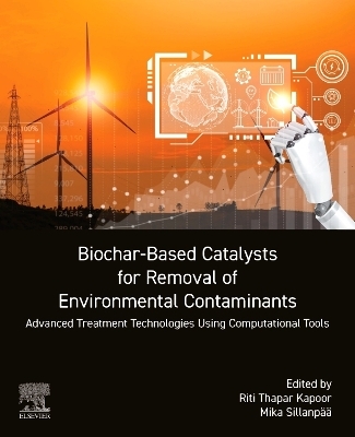 Biochar-Based Catalysts for Removal of Environmental Contaminants - 