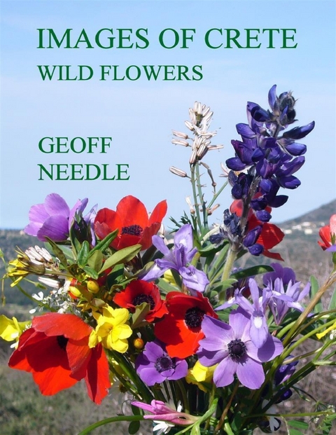 Images of Crete - Wild Flowers -  Geoff Needle
