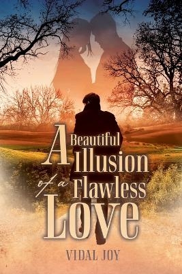 A Beautiful Illusion of a Flawless Love - Vidal Joy