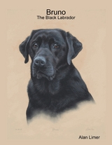 Bruno - The Black Labrador -  Alan Limer