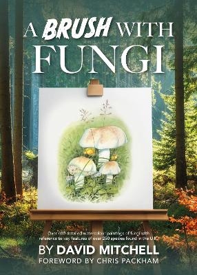 A Brush with Fungi