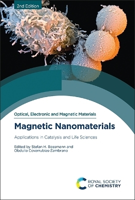 Magnetic Nanomaterials - 