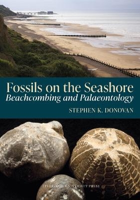 Fossils on the Seashore