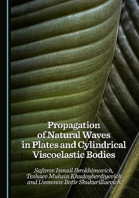 Propagation of Natural Waves in Plates and Cylindrical Viscoelastic Bodies - Safarov Ismail Ibrokhimovich, Teshaev Muhsin Khudoyberdiyevich, Usmonov Botir Shukurillaevich
