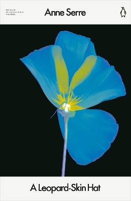 A Leopard-Skin Hat - Anne Serre