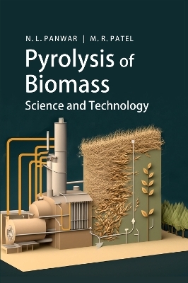 Pyrolysis of Biomass -  N.L.Panwar,  M.R.Patel