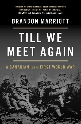 Till We Meet Again - Brandon Marriott
