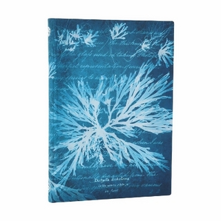 Sea Flowers (Anna Atkins’ Cyanotypes) Midi Lined Softcover Journal (Elastic Band Closure)