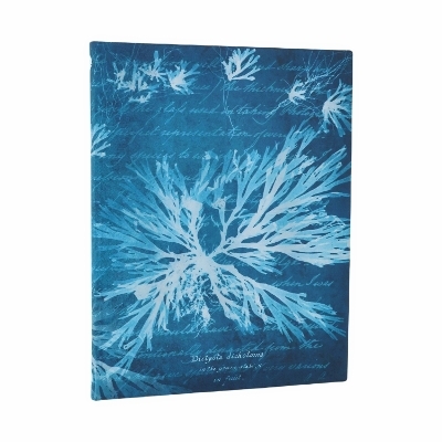 Sea Flowers (Anna Atkins&rsquo; Cyanotypes) Ultra Unlined Softcover Journal (Elastic Band Closure) -  Paperblanks