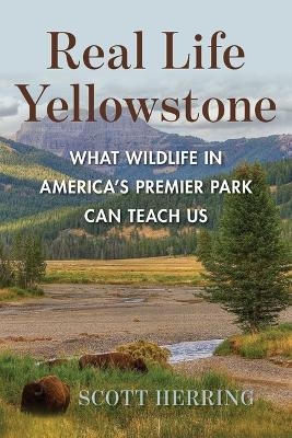 Real Life Yellowstone - Scott Herring