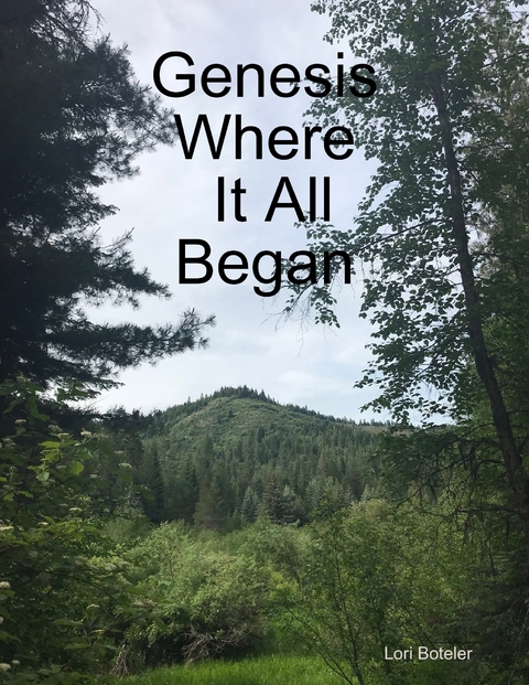 Genesis Where It All Began -  Lori Boteler