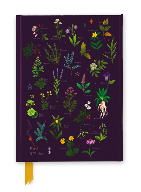 Anna Stead: For Spells & Potions (Foiled Journal) - 