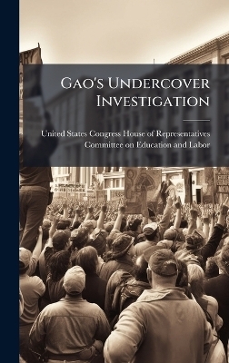 Gao's Undercover Investigation - 