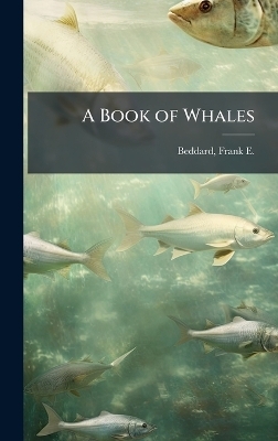 A Book of Whales - Frank E 1858-1925 Beddard