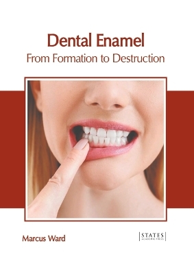 Dental Enamel: From Formation to Destruction