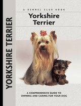 Yorkshire Terrier - Rachel Keyes