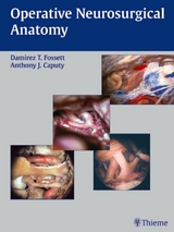 Operative Neurosurgical Anatomy -  Damirez T. Fossett,  Anthony J. Caputy