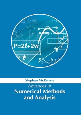 Advances in Numerical Methods and Analysis
