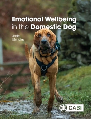 Emotional Wellbeing in the Domestic Dog