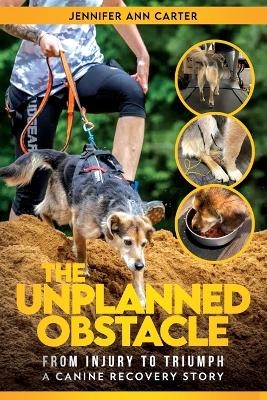 The Unplanned Obstacle - Jennifer Ann Carter