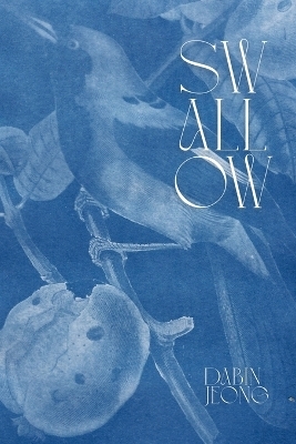 Swallow - Dabin Jeong