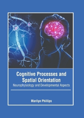 Cognitive Processes and Spatial Orientation: Neurophysiology and Developmental Aspects