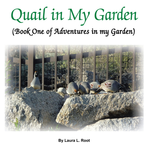 Quail in My Garden - Laura L Root