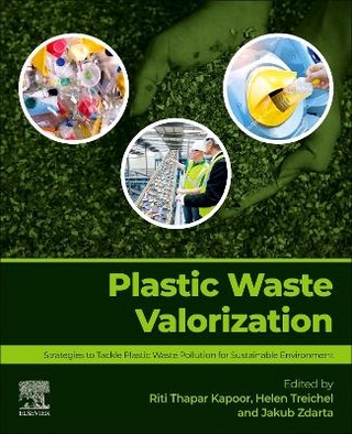 Plastic Waste Valorization