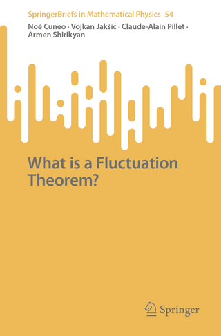 What is a Fluctuation Theorem?