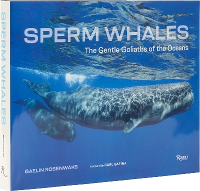Sperm Whales - Gaelin Rosenwaks