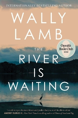 The River Is Waiting (Oprah's Book Club)