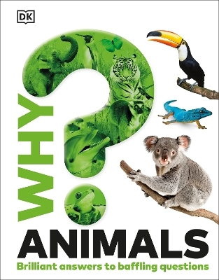 Why? Animals -  Dk