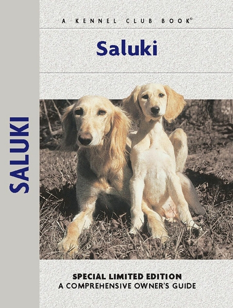 Saluki - Ann Chamberlain