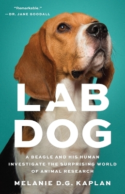 Lab Dog - Melanie D G Kaplan