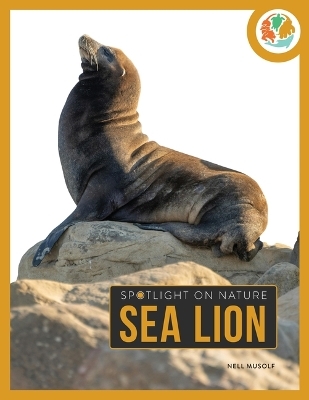 Sea Lion - Nell Musolf
