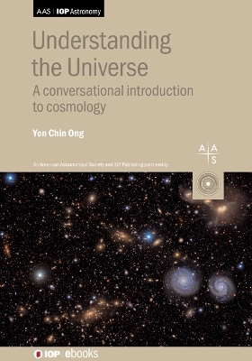 Understanding the Universe - Yen Chin Ong