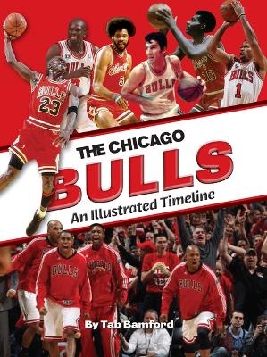 Chicago Bulls: An Illustrated Timeline