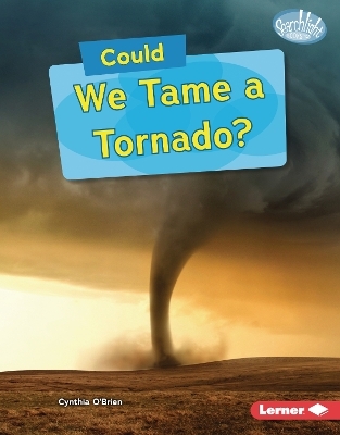 Could We Tame a Tornado? - Cynthia O'Brien