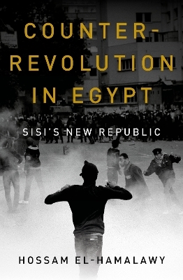 Counterrevolution in Egypt