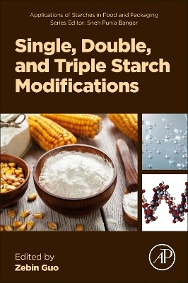 Single, Double, and Triple Starch Modifications - 