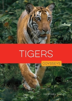 Tigers - Rachael Hanel