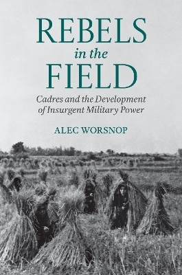 Rebels in the Field - Alec Worsnop