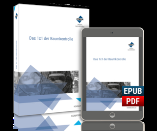 Das 1x1 der Baumkontrolle