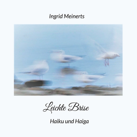 Leichte Brise - Ingrid Meinerts
