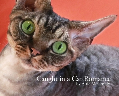 Caught in a Cat Romance - Airie McCready
